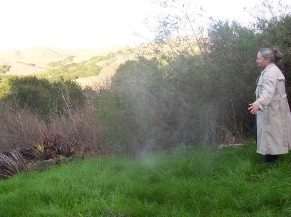 Wendy Releases Daryl's Ashes on the Hill